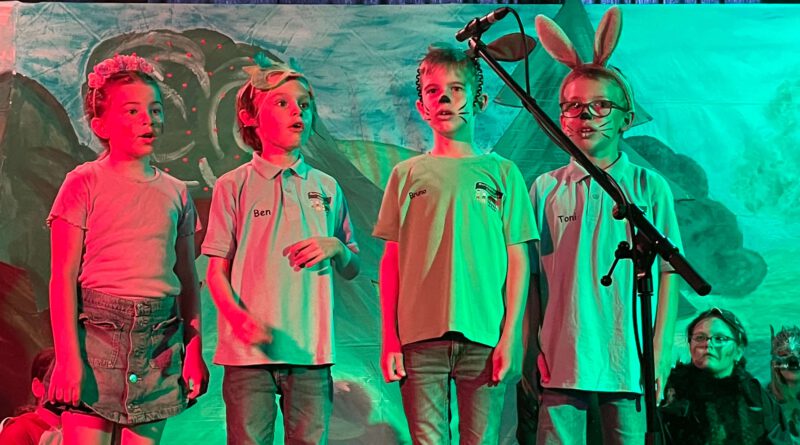 Großer Auftritt für die mehr als 60 Chorkinder der Marienschule in Hauenhorst. Am Freitag war es endlich soweit. Das im Rahmen des NRW-Landesprojekts „Kultur und Schule“ geförderte Kindermusical „Randolfo und der eine Ton“ von Babette Dieterich und Uli Führe wurde aufgeführt. Und zwar gleich dreimal. Morgens gab es die Premiere, zu der alle anderen Kinder der Schule und auch die angehenden Schulkinder der benachbarten Kindergärten geladen waren. Und da hat es schon hervorragend geklappt. Jetzt wusste man, dass es funktioniert, denn vor der Generalprobe ist da immer so ein gemischtes Gefühl bei Kindern und Verantwortlichen. Verantwortlich zeigten sich, wie in den vergangenen Jahren auch, Brigitte Lesting, als durchführende Künstlerin und Sabine Müller, als zuständige Lehrerin der Schule. Stunden um Stunden hatten sie investiert, um das Stück auf die Bühne und in die Köpfe und Körper der Kinder zu bringen. „Ein Musical ist weit mehr als „nur“ die Aufführung bzw. die Aufführungen. Es wird natürlich unheimlich viel an Texten, Liedern, Gestik und Ausdruck geübt und gefeilt, aber auch die Eltern müssen immer wieder mit ins Boot geholt werden, ein individuelles Bühnenbild und -arrangement erstellt und aufgebaut werden, mit den Kolleginnen die zusätzlichen Übungsstunden abgesprochen werden, Eintrittskarten erstellt und verkauft werden, Gäste eingeladen werden und, und, und. Und dann sind da noch die Gefühle, die Achterbahn fahren, wenn ein „Rollenkind“ in der Aufführungswoche krank wird oder wenn man bis kurz vor knapp denkt, „wie soll das denn morgen klappen?“, so Sabine Müller heilfroh nach der gelungenen Premiere. Bei über dreißig Grad und zwei ausverkauften Vorführungen am Nachmittag wurde dann auch den Eltern, Omas und Opas, Onkeln und Tanten und Freunden gezeigt, wie toll und wichtig solch eine Art von Schulleben ist. Schulleiter Christian Hülsmann, der die Kinder zwischen den beiden Nachmittagsaufführungen mit einem eiskalten Wassereis überraschte, ist der festen Überzeugung, dass sich dieses Engagement seiner Schule lohnt: „Lesen, Schreiben, Rechnen dürfen für ein solches Projekt gerne mal hinten anstehen. Wer sieht, was die Kinder beim Musical für Erfahrungen sammeln, wie sie gemeinsam Großes leisten, Ängste überwinden und Stolz erleben, der ist mehr als froh und stolz, so etwas anbieten zu können“, so Hülsmann, der nicht selten die Worte seiner Vorgängerin Barbara Schwenen wiederholt, die das Musical der Marienschule als ein „Juwel der Schule“ bezeichnete. Worum geht es in diesem Stück? Auch das ist immer eine wichtige Frage, denn ein Musical bringt auch eine wichtige Botschaft mit. Erzählt wird die Geschichte von Randolfo, einem traumatisierten stummen Jungen, der von den anderen Kindern oft gehänselt wird. Trost findet er im Wald. Hier schenkt ihm die Fee Rubella ein wundersames Stöckchen, auf dem nur ein Ton geblasen werden kann. Spielt Randolfo diesen Ton des Waldes, so fühlen sich alle Tiere zu ihm hingezogen. Das beeindruckt die Kinder, die ihn vorher geärgert haben. Am Ende des Stücks gewinnt Randolfo seine Stimme wieder und die Kinder nehmen ihn in ihre Gemeinschaft auf. „Jemanden ausgrenzen, jemanden vorverurteilen, jemanden ärgern/mobben – das sind alles Inhalte, die auch unsere Schülerinnen und Schüler täglich beschäftigen und an denen gearbeitet werden muss“, so Hülsmann. Zum Abschluss dieses aufregenden Tages war dann auch noch die gesamte Schulgemeinschaft zum „Come together“ auf dem Schulhof eingeladen und feierte in netter und geselliger Runde bei Bratwurst und Kaltgetränken bis spät in den Abend hinein. Und wo waren die Kinder? Die hatten den ganzen Schulhof zum Spielen und die Aula, in der gerade noch das Musical gespielt wurde, hatten die fleißigen Eltern nach ganz schnell eine tolle Disco verwandelt.