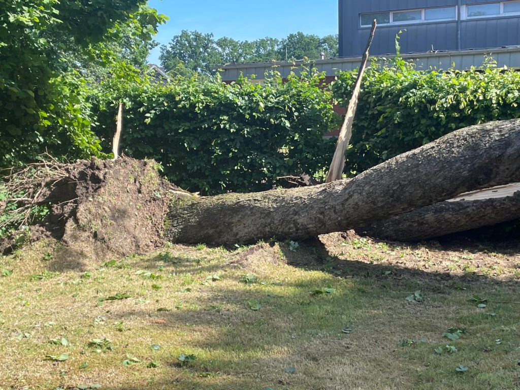 Welch ein Wetter - Donnerwetter!  Die Marienschule wurde vom großen Unwetter in der Region schwer getroffen. 